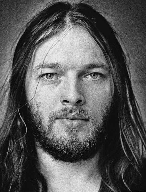 David Gilmour portrait